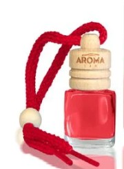 Ambientador para Carro Frutos Vermelhos Gaby Car